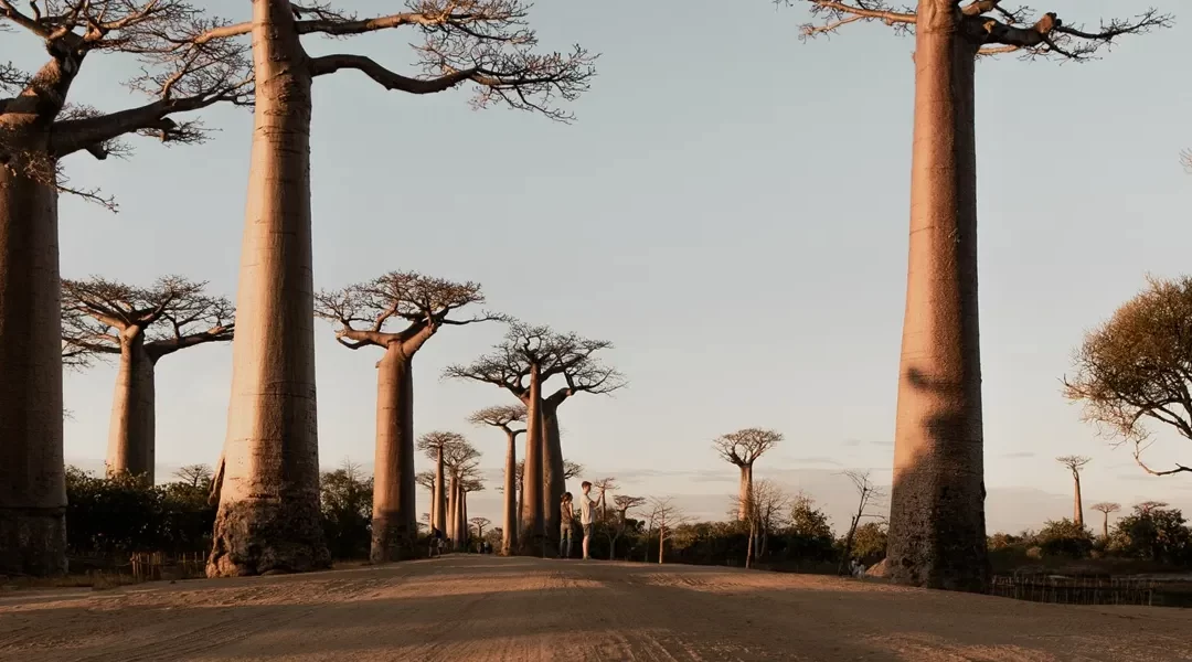 Madagascar: tsingys, lémures y baobabs