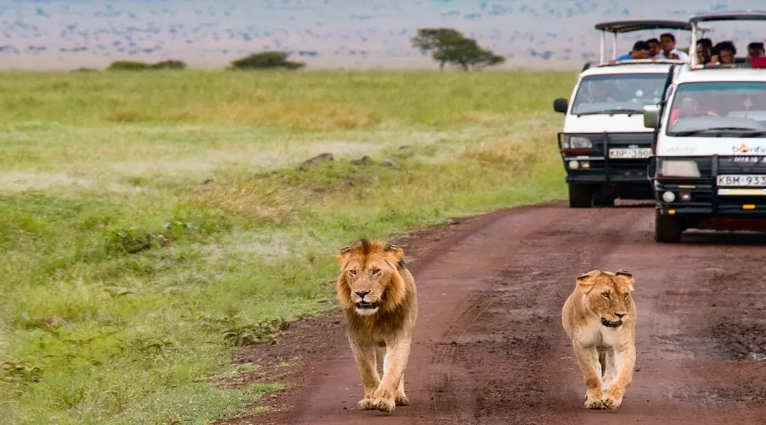 Gran safari en Kenia