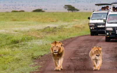 Gran safari en Kenia