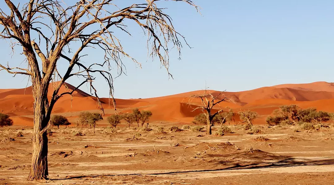 Namibia salvaje