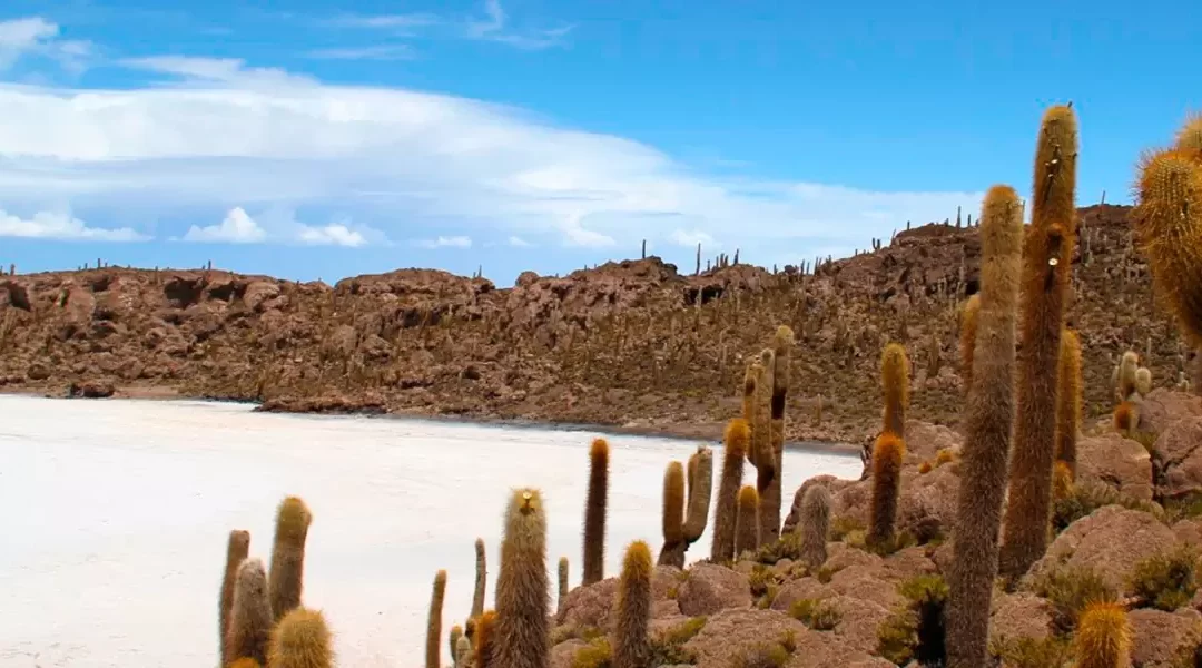 Bolivia mágica