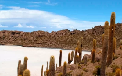 Bolivia mágica