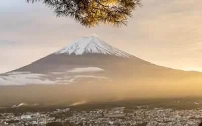 Japón esencial