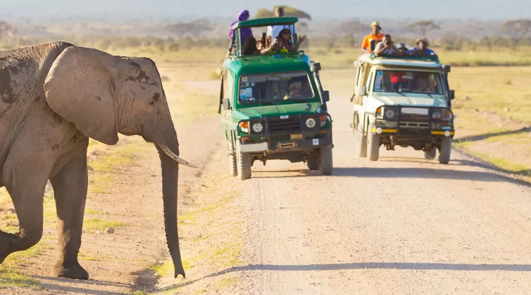 Safari en Tanzania