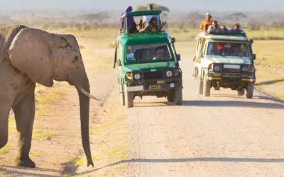 Safari en Tanzania