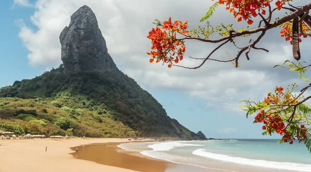 Brasil exótico: Amazonas y Fernando de Noronha