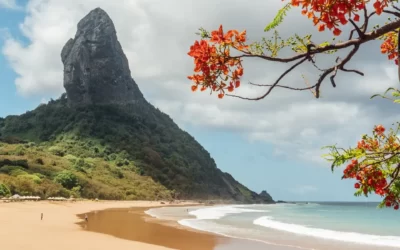 Brasil exótico: Amazonas y Fernando de Noronha