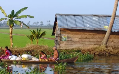 Descubriendo el sur de la India