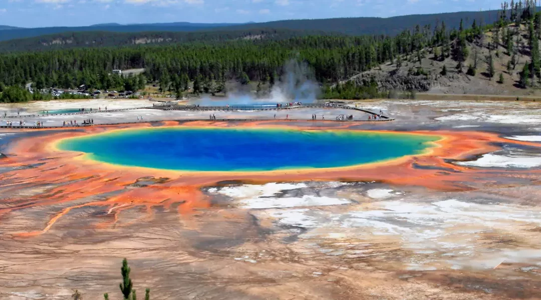 Yellowstone y Grand Teton en libertad