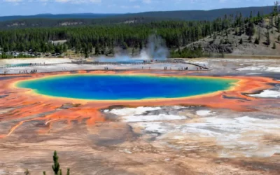 Yellowstone y Grand Teton en libertad