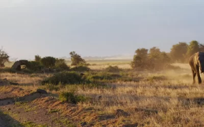 Etnias y paisajes de Etiopia