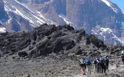 Expendición al Kilimanjaro – Ruta Lemosho (5.895 m)