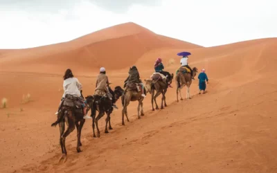 Descubre los mejores destinos para disfrutar del desierto