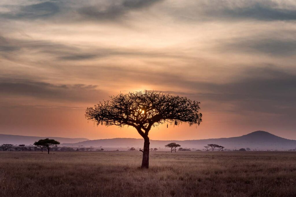 Atardecer safari en tanzania
