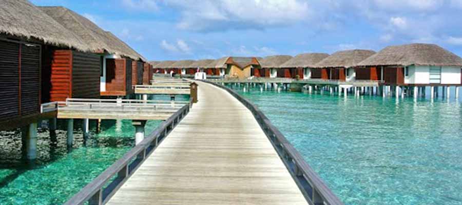 Sumérgete en el Paraíso: Bungalows sobre el Agua
