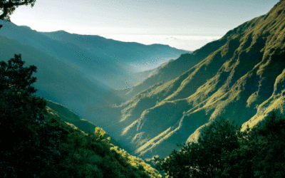 Senderismo en Madeira: Descubre un Paraíso Natural