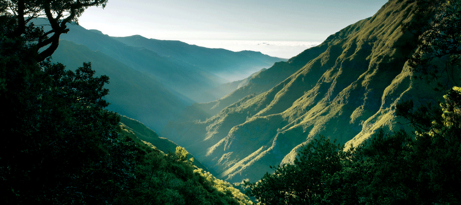 Rutas senderismo Madeira