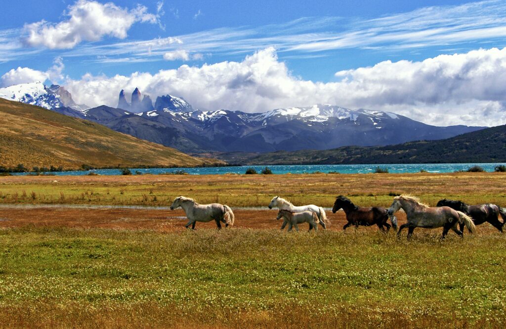 Patagonia destino encantador de otoño para viajar