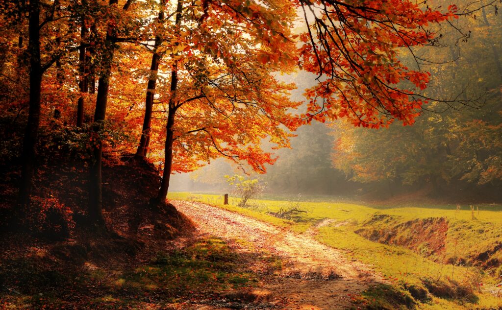 Paisaje de destino encantador de otoño para viajar