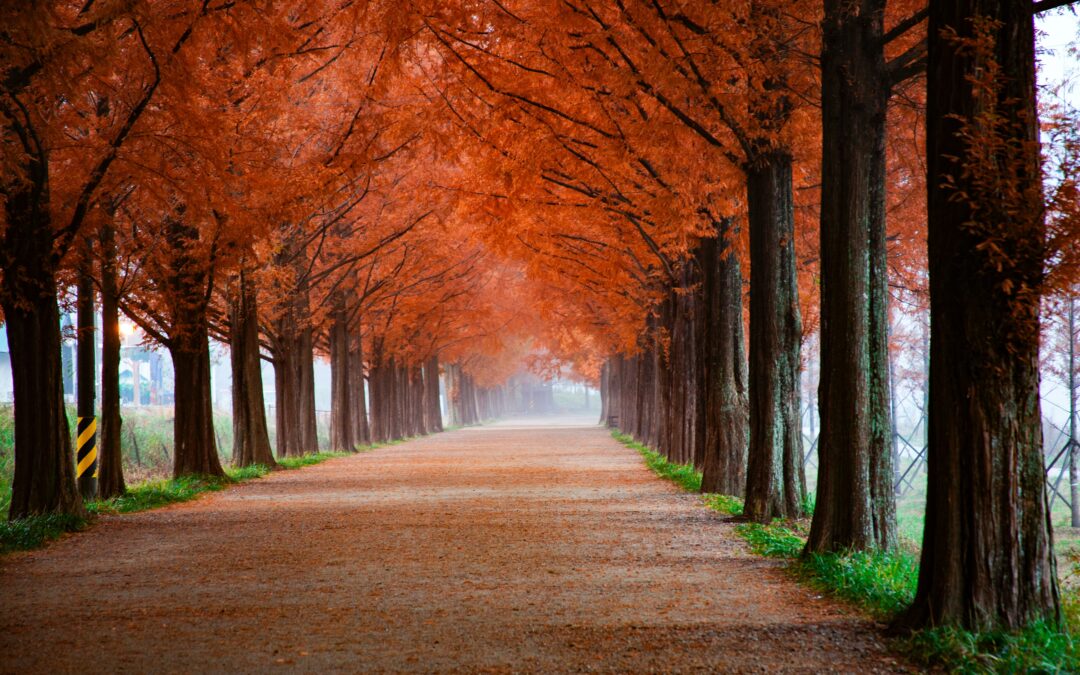Los destinos de otoño más encantadores para viajar
