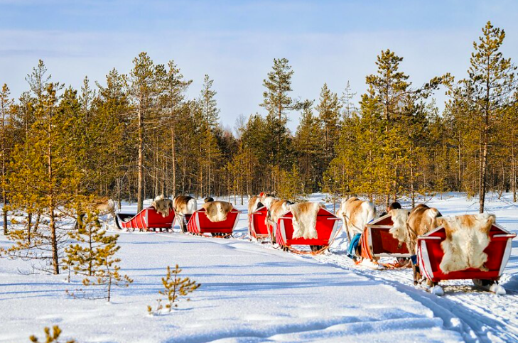 Navidad en Laponia conociendo a Papá Noel