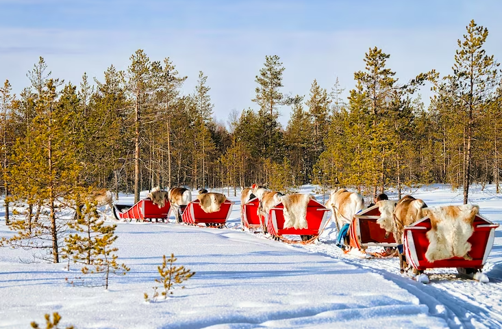 Laponia invernal y navidad