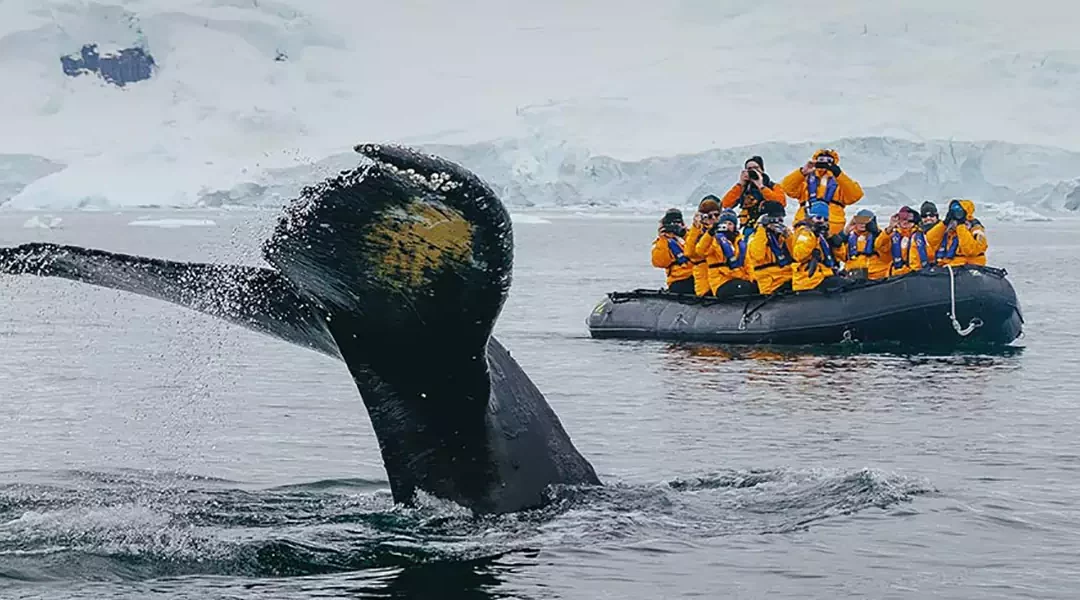 Antártida Avión y crucero Quark Expedition