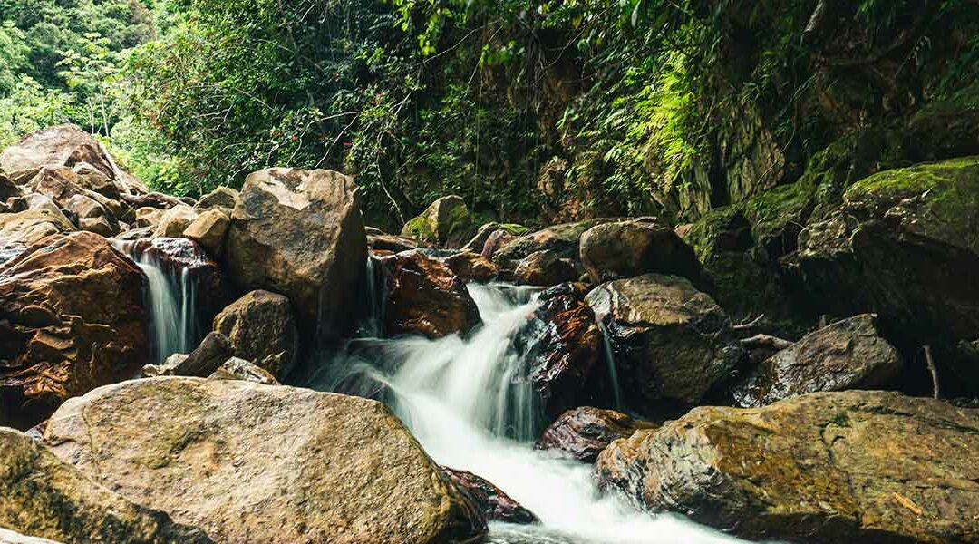 Colombia y su Amazonas